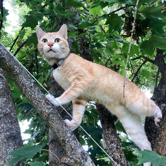 Meet your seller - Picture 4 of 4